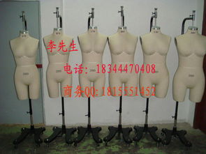 內(nèi)衣立裁人臺(tái)選購指南 價(jià)格、廠家與圖片參考