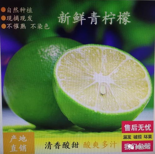 芒市注入兩千余萬資金，以電商賦能鄉村振興
